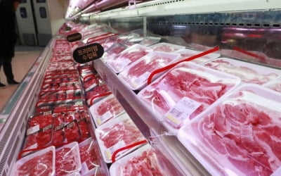수입 돼지고깃값 최대 20% 낮춘다…1주택보유세 2020년수준 환원