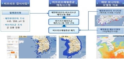 해수부·식약처, 여름철 수산물 안전관리 위한 합동점검 실시