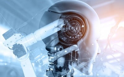 AI정책 설정 그르칠라…"빅테크 인공지능 과대평가는 금물"