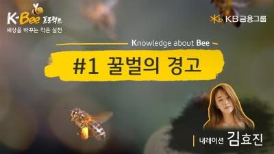 꿀벌 생태계 복원나선 KB금융, '꿀벌의 경고' 영상 제작