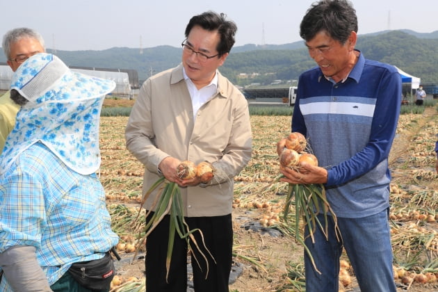 정황근 농림축산식품부 장관이 3일 충남 아산시 인근 양파재배 농가를 방문해 가뭄 대응 및 농번기 인력수급 상황을 점검하고 있다. 농림축산식품부 제공