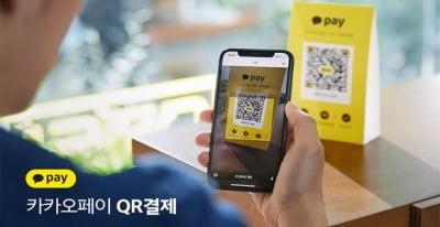 알리페이, 할인율 11.8%로 카카오페이 지분 블록딜 성공