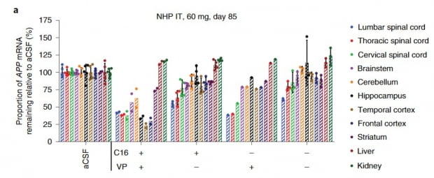 아밀로이드 베타 전구체 단백질(APP)을 만드는 mRNA 유전자량 비교. 플랫폼 기술을 모두 적용한 상태(C16+, VP+)일 때 각 뇌 및 척수 부위에서 APP mRNA의 양이 감소했음을 확인할 수 있다. 자료-네이처 바이오테크놀로지