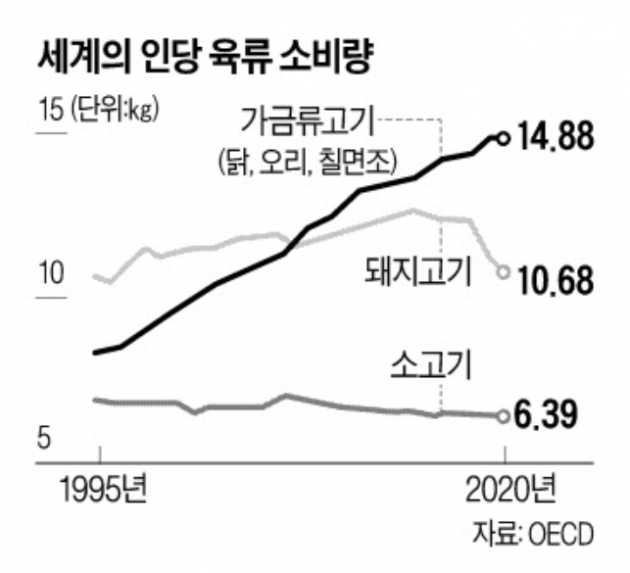 병아리 된지 6주 만에 식탁으로…인플레가 부른 '닭 수난시대'