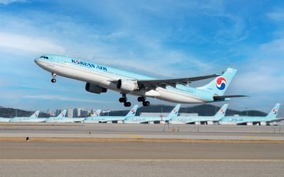 "대한항공, 진에어 지분 인수, 모두에게 최선의 선택"-한국