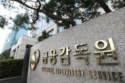 금감원, 저축은행 '불법 사업자 주담대' 엄중대응 경고