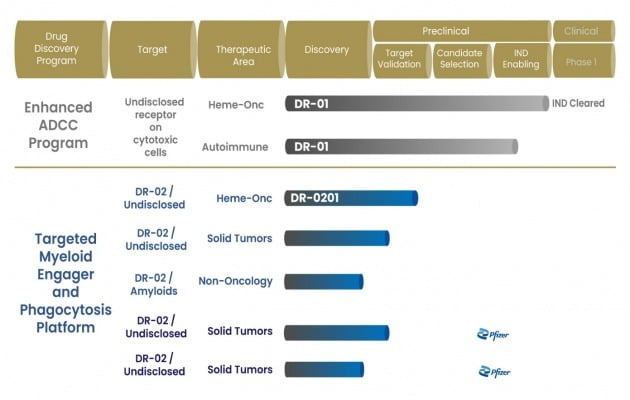 드렌바이오의 파이프라인 진행 상황. DR-01은 연내 임상 1상에 진입할 예정이며, 화이자와 공동 개발 중인 DR-02는 아직 디스커버리 단계로, 구체적인 내용은 공개하지 않았다. dren bio 제공