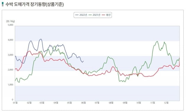 작년보다 오른 수박 도매가격(자료=한국농촌경제연구원)