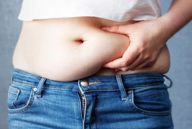 "음식 섭취 반으로 줄이는 물질 찾았다"…비만환자에 '희소식'