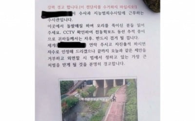 "오리 가족에 돌 던진 분 자수하라"…경고장 붙인 경찰 왜?