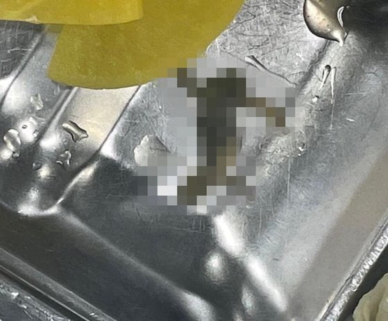 급식 반찬으로 나온 열무김치에서 개구리가 사체가 발견된 모습 . / 사진=연합뉴스