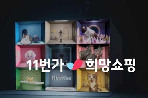 온라인쇼핑몰 11번가는 지난 20일 11키티즈의 데뷔곡 '테이크 미'(Take Me)와 뮤직비디오 영상을 공개했다고 밝혔다. 사진=11번가