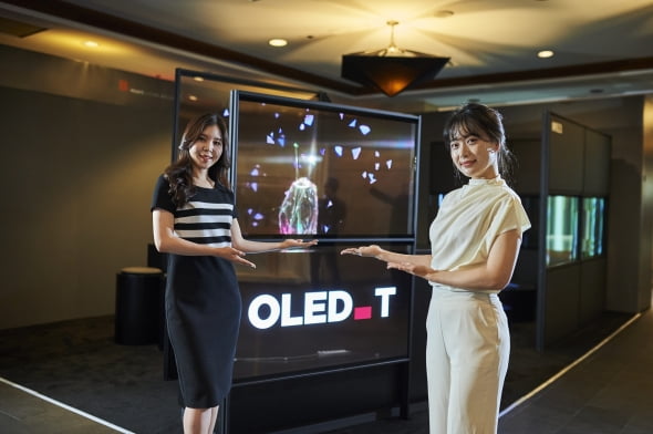 LG디스플레이 사무용 투명 OLED 파티션 [사진=LG디스플레이]