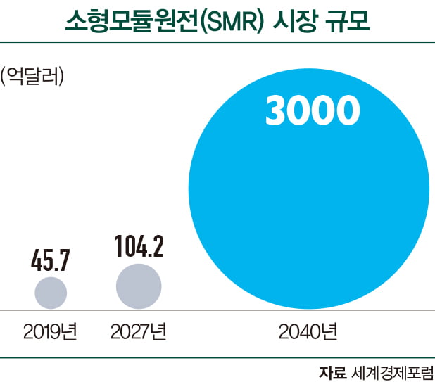  IEA 사무총장 “탄소중립, 원전 제외해서는 안 돼”