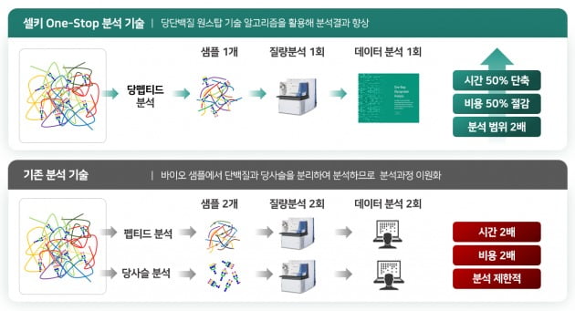 셀키는 단백질과 당사슬 분석을 일원화한 '원스톱 당단백질 분석' 기술을 자체 개발해 바이오 의약품 또는 바이오마커 개발에 필요한 연구 결과를 향상시키고 시간과 비용을 절감했다. / 출처=셀키 제공