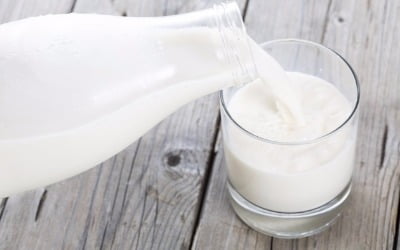 美, 우유 많이 마시면 전립선암 ↑…국내에도 적용될까 [건강!톡] 