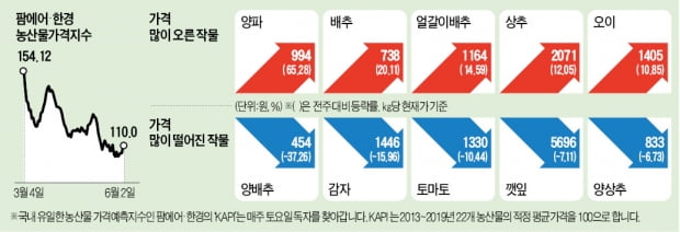 올초만 해도 밭 갈아엎었는데…양파 도매가 1주일 새 65% 급등