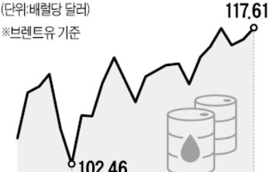 OPEC+, 美압박에 50% 증산 나섰지만…유가 잡기엔 역부족