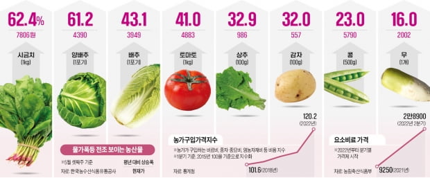 시금치 62%·배추 43% 올랐는데…"농산물 대란, 이제 시작일 뿐"