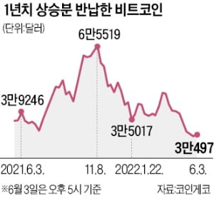 '루나 사태'로 초토화 된 암호화폐 시장…크립토윈터 닥치나