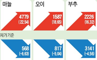 최악 가뭄에 재배면적 급감…꺾일 기미 안 보이는 감자값