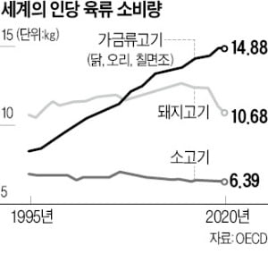 글로벌 닭고기 소비 급증…올 1억t 먹을 듯