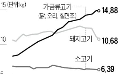 글로벌 닭고기 소비 급증…올 1억t 먹을 듯