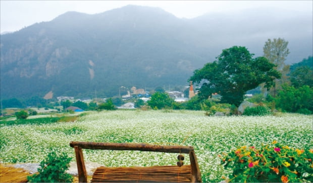 충북 보은 구병리카지노 노말, 충북 알프스서 옥수수·감자 캐며 산촌 힐링