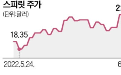 美 2위 저비용항공사 스피릿, 인수경쟁 불붙자 몸값 치솟네