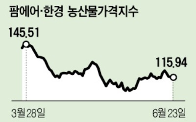 장마에 전염병…사과 수확량 확 줄어드나