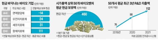 '주가 폭락' 바이오벤처…4곳 중 1곳 내년 현금 바닥