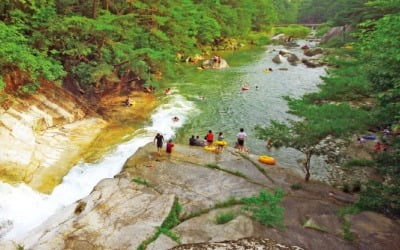 충북 계곡에서 무더위 날려볼까