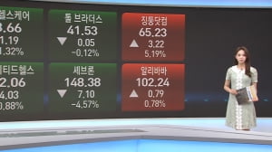 6월 20일 미증시 특징주