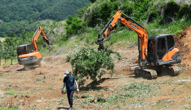 충주시 동량면의 한 과수원에서 과수화상병에 걸린 나무들을 매몰하고 있다. 과수화상병 판정을 받은 과수원은 3년 동안 과수를 재배할 수 없다.사진=김기남 기자