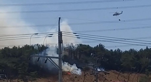 고양 일산동구 야산에 불…9시간만에 진화(종합)