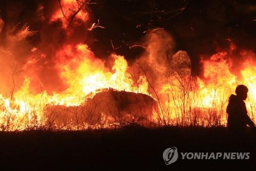 [동해안산불 100일] ① 임시주거시설 입주 마쳐…장마 산사태 우려