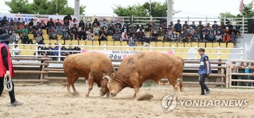 "덥다 더워!" 초여름 기온에 동해·제주 등 바닷가 인파 몰려