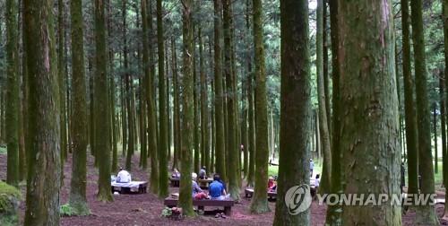 강원 고성군, 진부령 국립자연휴양림 공모사업에 선정