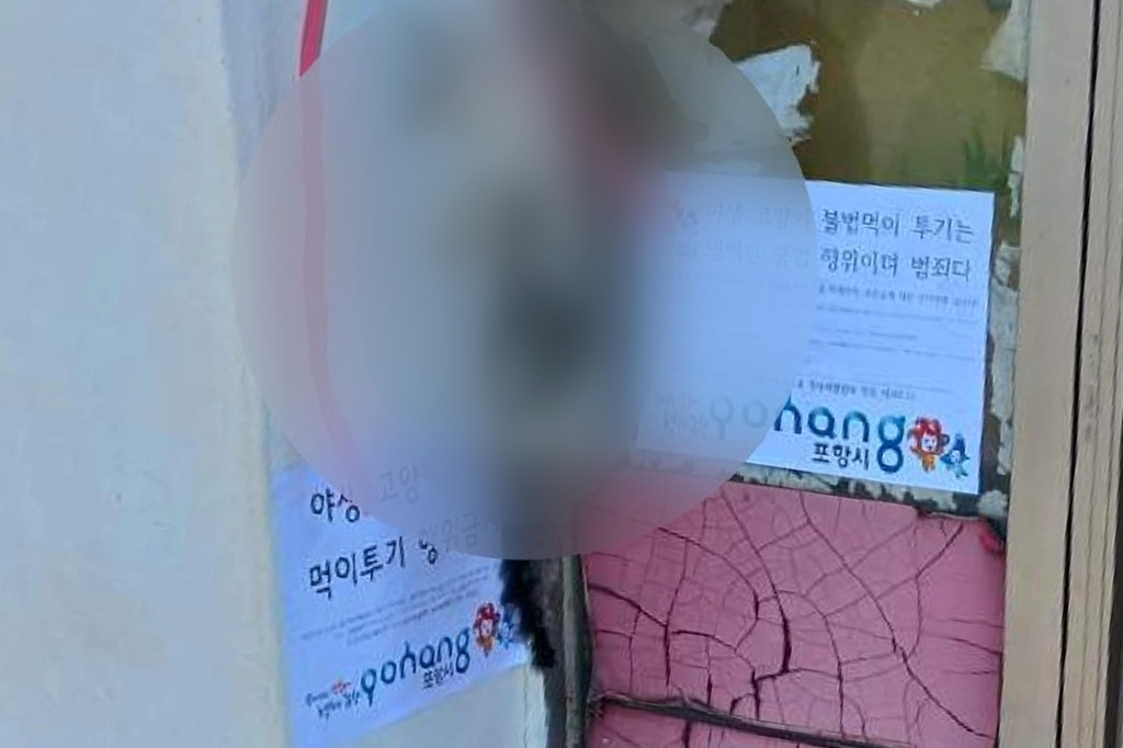 포항서 학대당한 새끼 고양이 사체 발견…경찰 수사