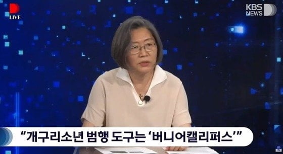 '개구리소년' 살해 도구는 이것?…이수정 "설득력 있다"