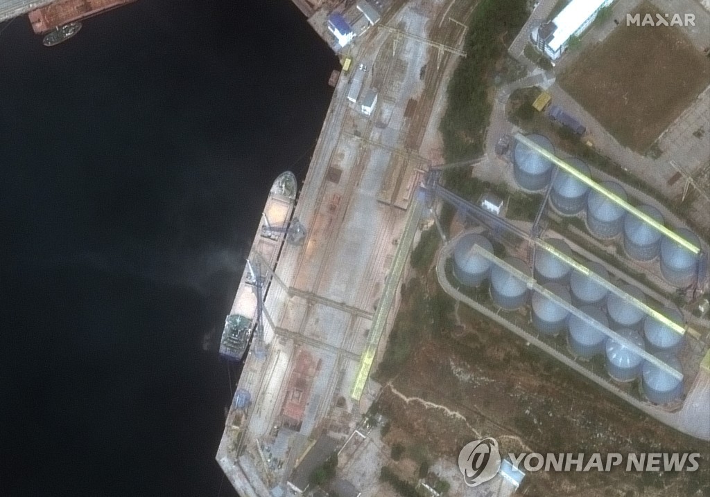 "러시아 선박, 우크라 곡물 시리아로 빼돌려"…위성에 포착