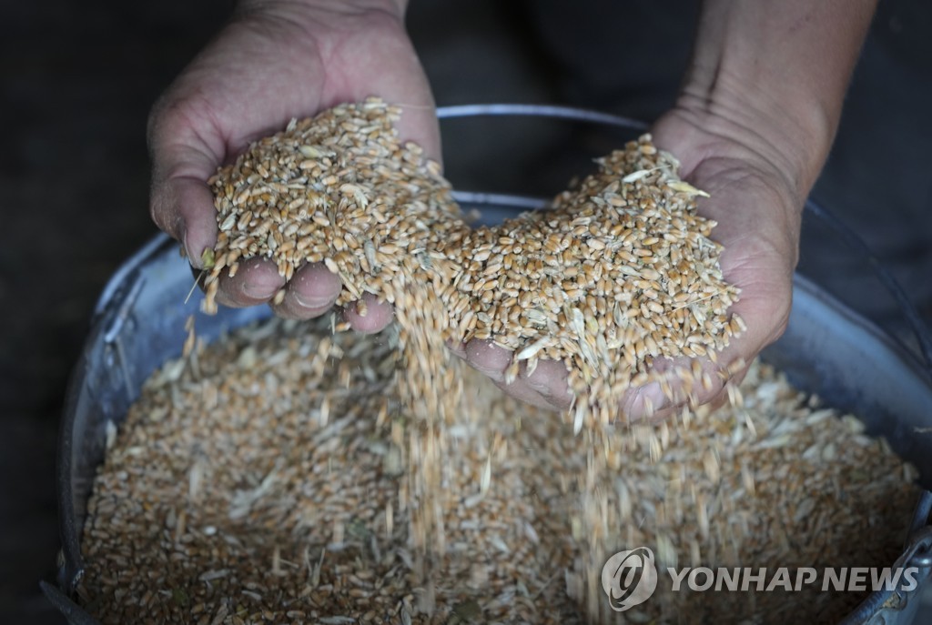 수출길 막힌 우크라 곡물…"저장고 없어 폐기처분 해야 할 판"