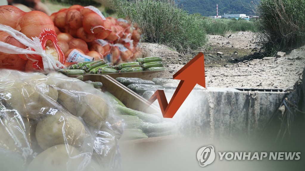 농산물값 고공행진…열무·감자·양파 도매가 '껑충'