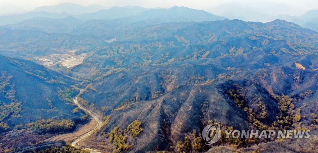 경북도, 울진 산불피해 극복·지역재생 과제 추진