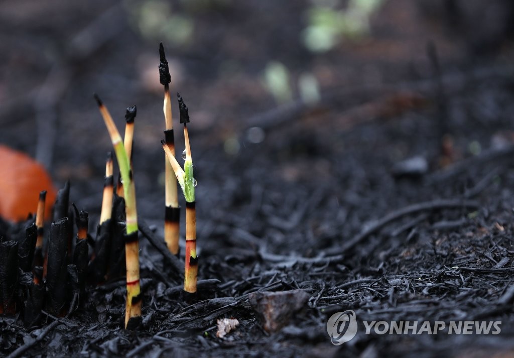 [동해안산불 100일] ③ 낯선 집이 어색한 이재민들 "그래도 일어서야죠"