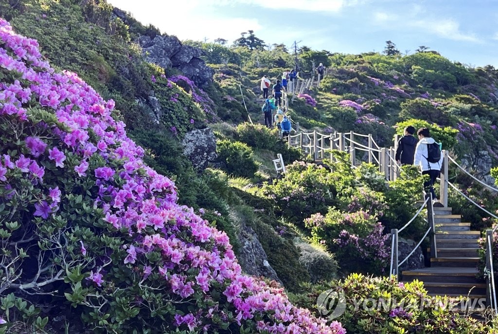 "한라산서 잇단 불법행위…보전 관리 정책 강화해야"