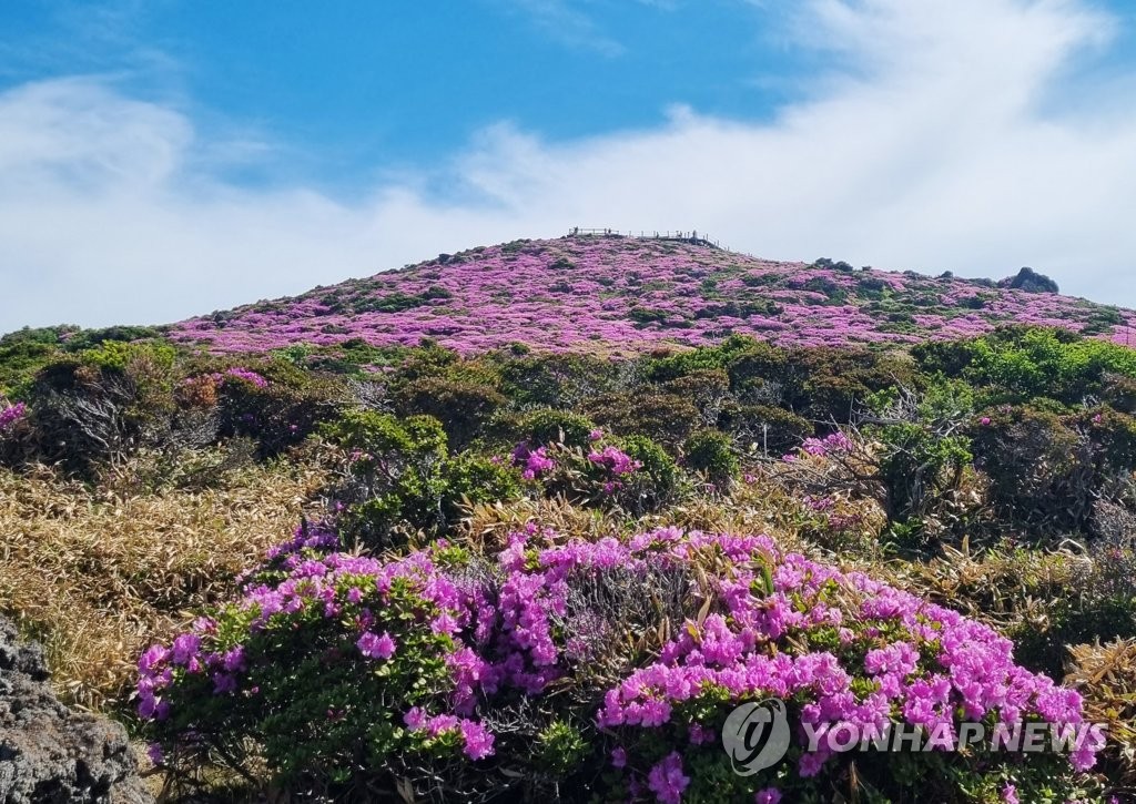 현충일 연휴 첫날 맞아 '녹음 짙은 산으로, 시원한 바다로'