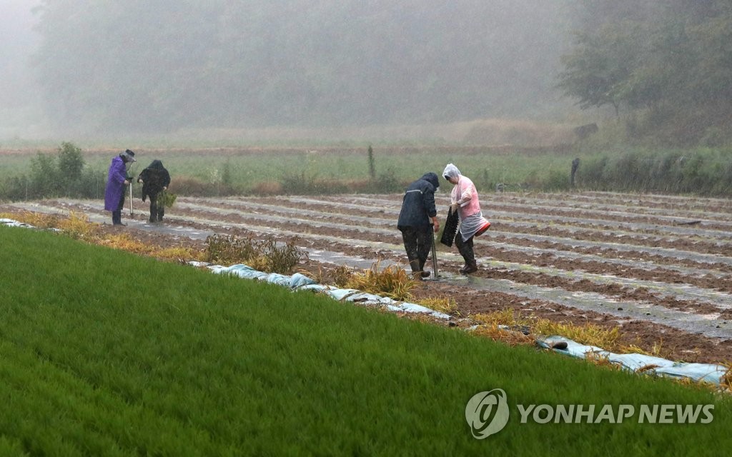 일주일 집중호우로 '6개월 강수량' 평년 70% 수준까지 올라와