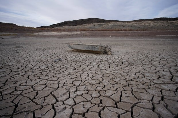 미국 서부에서는 극심한 가뭄이 이어지고 있다. 사진은 미국 네바다주 볼더시티 인근 호수의 물이 마른 모습. /사진=AP