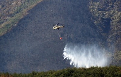 밀양 산불, 나흘만에 주불 진화…축구장 1천개 이상 산림 피해